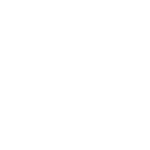 LEAD FREE